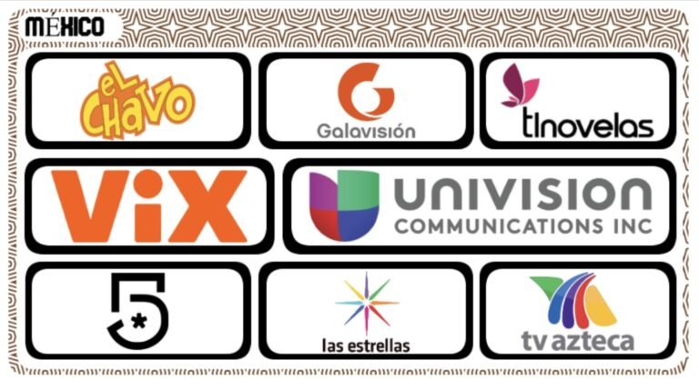 WhatsApp Image 2025-07-25 at 17.08.05